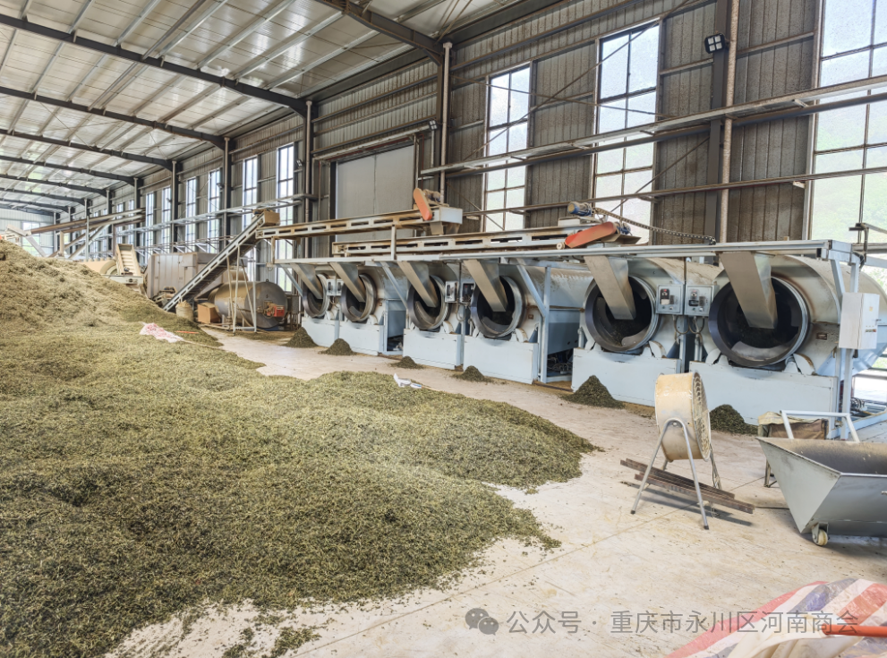 商会动态｜重庆市永川区河南商会走访重庆西南茶业（集团）有限公司